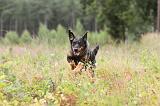 BEAUCERON 407